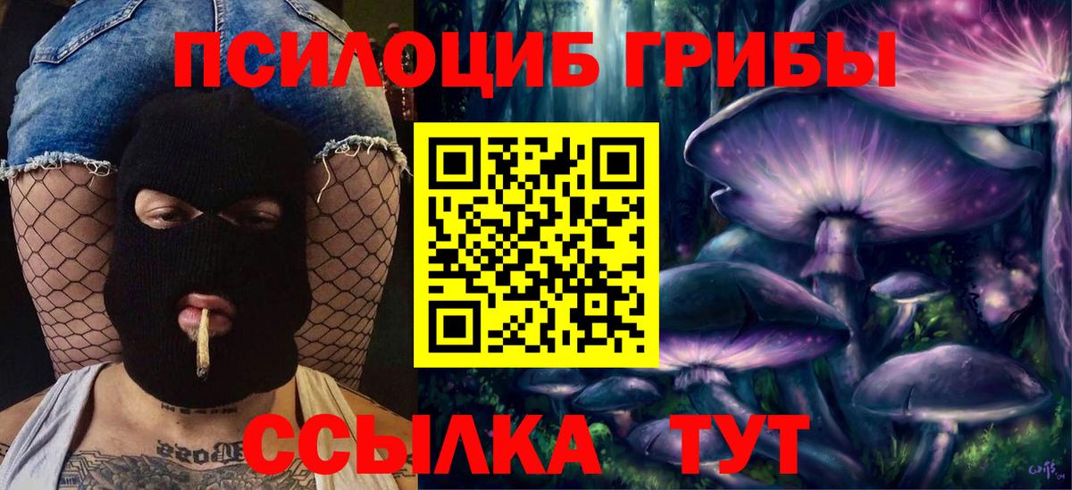 Псилоцибиновые грибы GOLDEN TEACHER  Псилоцибиновые грибы GOLDEN TEACHER  Вход с VPN  Северобайкальск 